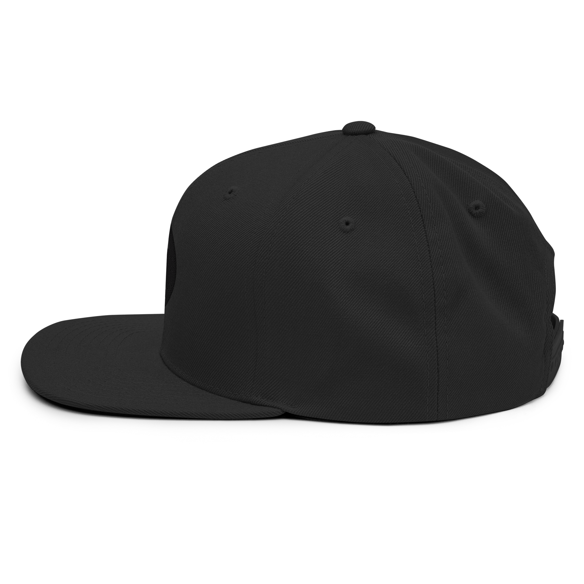 Phantom Black Snapback Hat