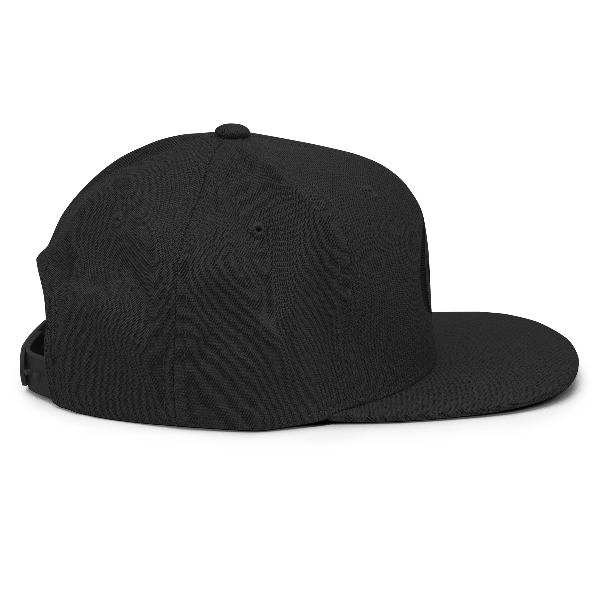 Phantom Black Snapback Hat